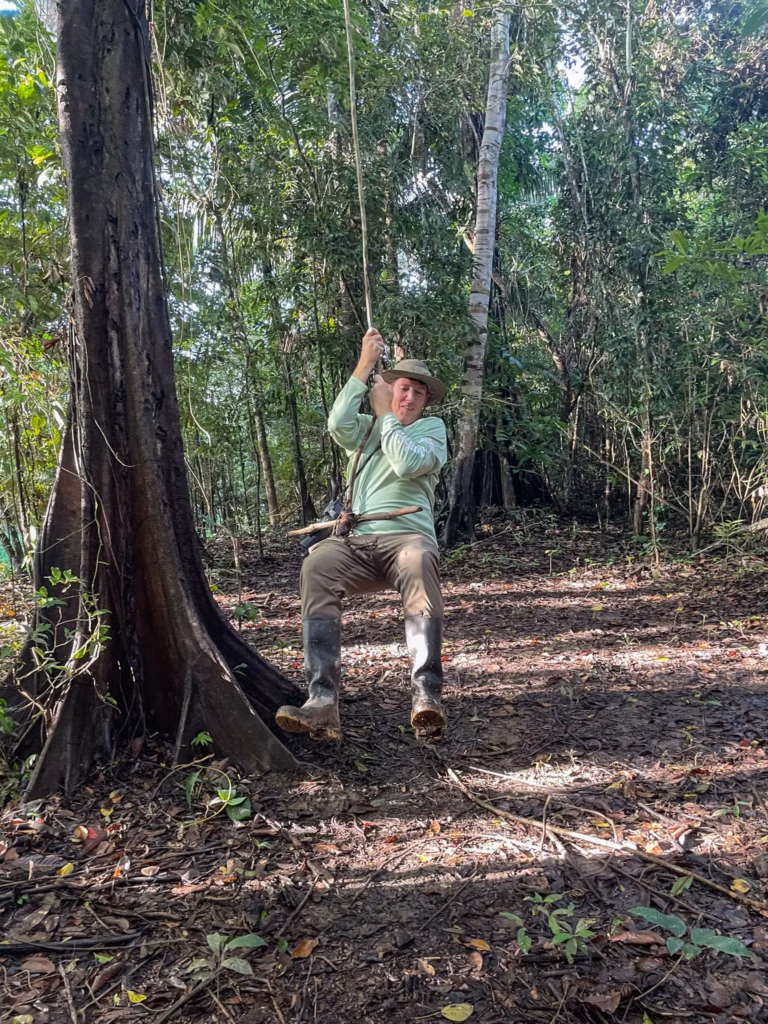 tree swing