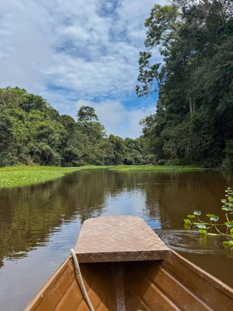 canoe in rainforest