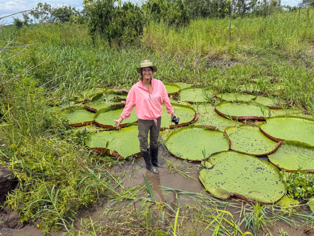giant lily pads