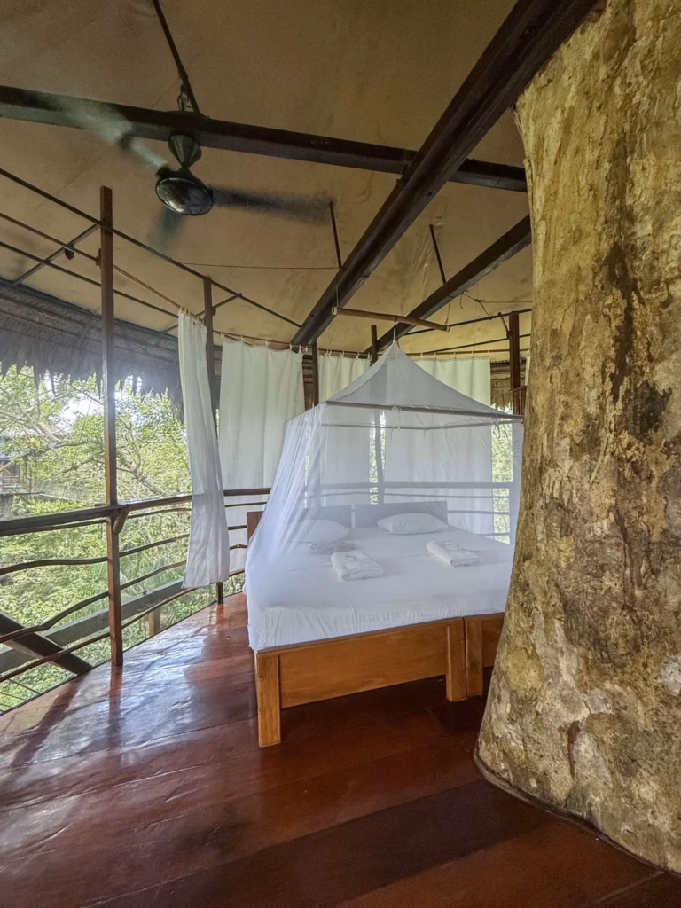 Treehouse lodge