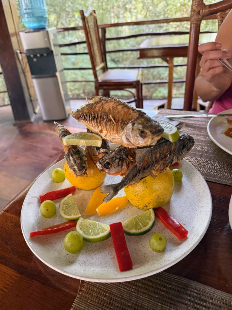 cooked piranha