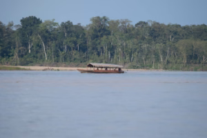 Amazon River