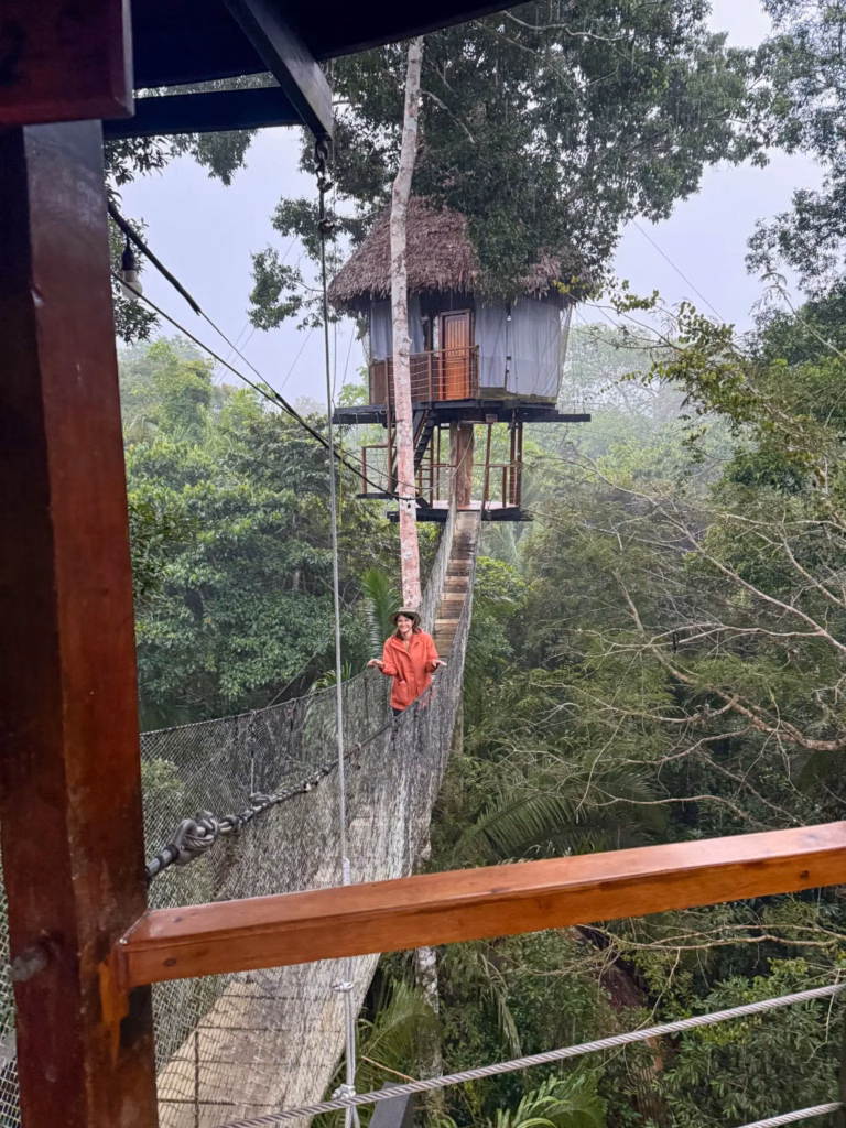 canopy walk in rainforest